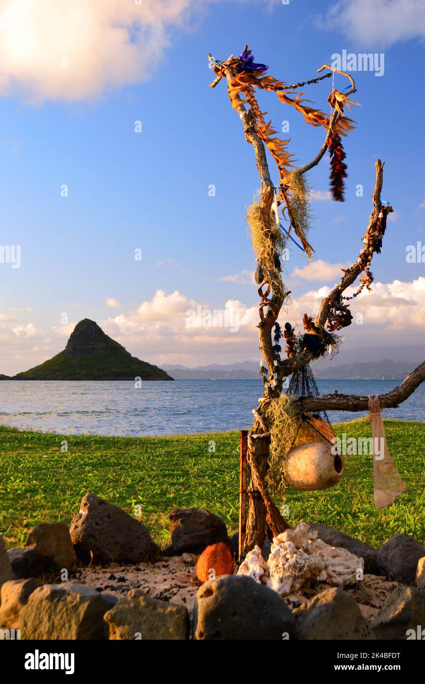 Die hawaiianische Tradition besagt, dass Leis nicht weggeworfen, sondern durch das Aufhängen an einem Ast zur Erde zurückgebracht werden sollte, wie hier im Hinblick auf Mokoli'i zu sehen ist Stockfoto