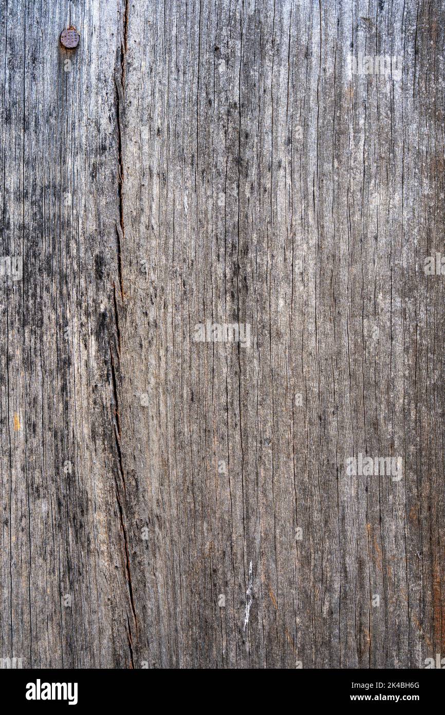 Holzplanke strukturiertes Hintergrundmaterial Stockfoto