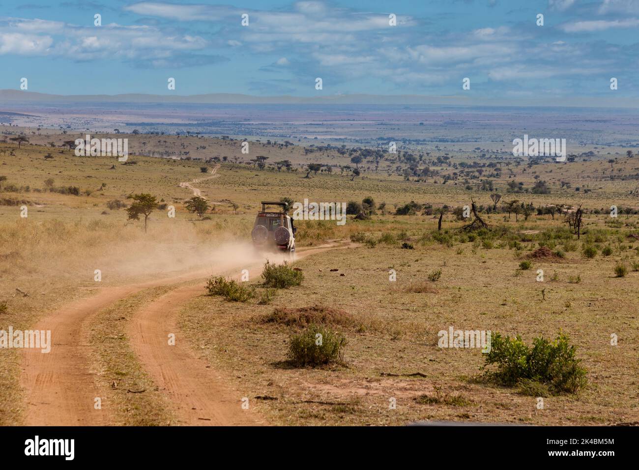 Tansania. Straße, Serengeti National Park. Stockfoto