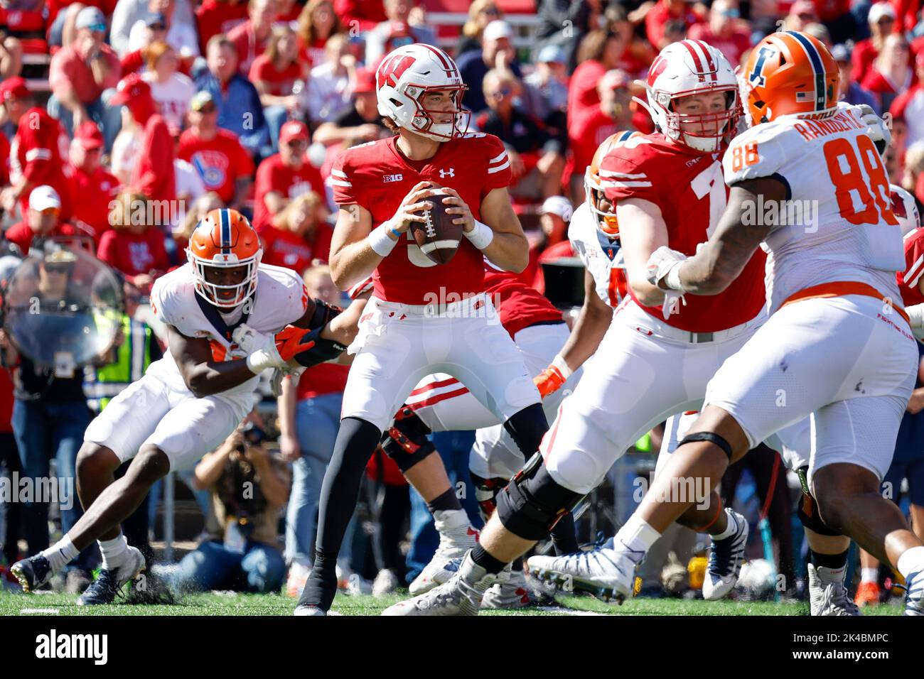 Madison, WI, USA. 1. Oktober 2022. Der Quarterback der Wisconsin Dachs Graham Mertz (5) fällt während des NCAA Football-Spiels zwischen den Illinois Fighting Illini und den Wisconsin Dachs im Camp Randall Stadium in Madison, WI, zurück. Darren Lee/CSM/Alamy Live News Stockfoto