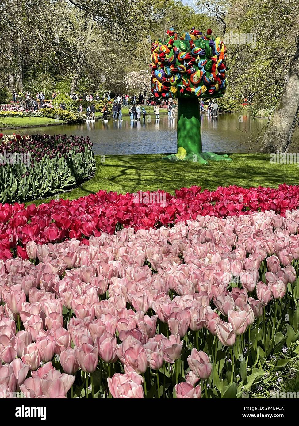 Die schöne Aussicht auf einen Park mit schönen Tulpen in Amsterdam Stockfoto