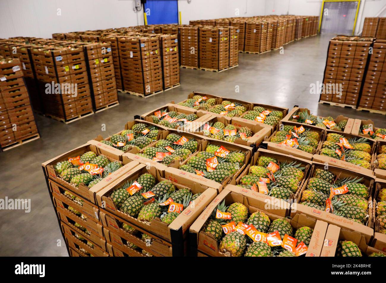 In einem Lager im Hafen von Wilmington in Wilmington, Del., 16. April 2020, warten Paletten, die mit Tausenden von Ananas beladen sind, auf den Handel. Die Agrarspezialisten des US-amerikanischen Zoll- und Grenzschutzbüros für Außeneinsätze untersuchen die ankommenden Obstlieferungen, bevor sie an den Einzelhandel geschickt werden. CBP-Foto von Glenn Fawcett Stockfoto