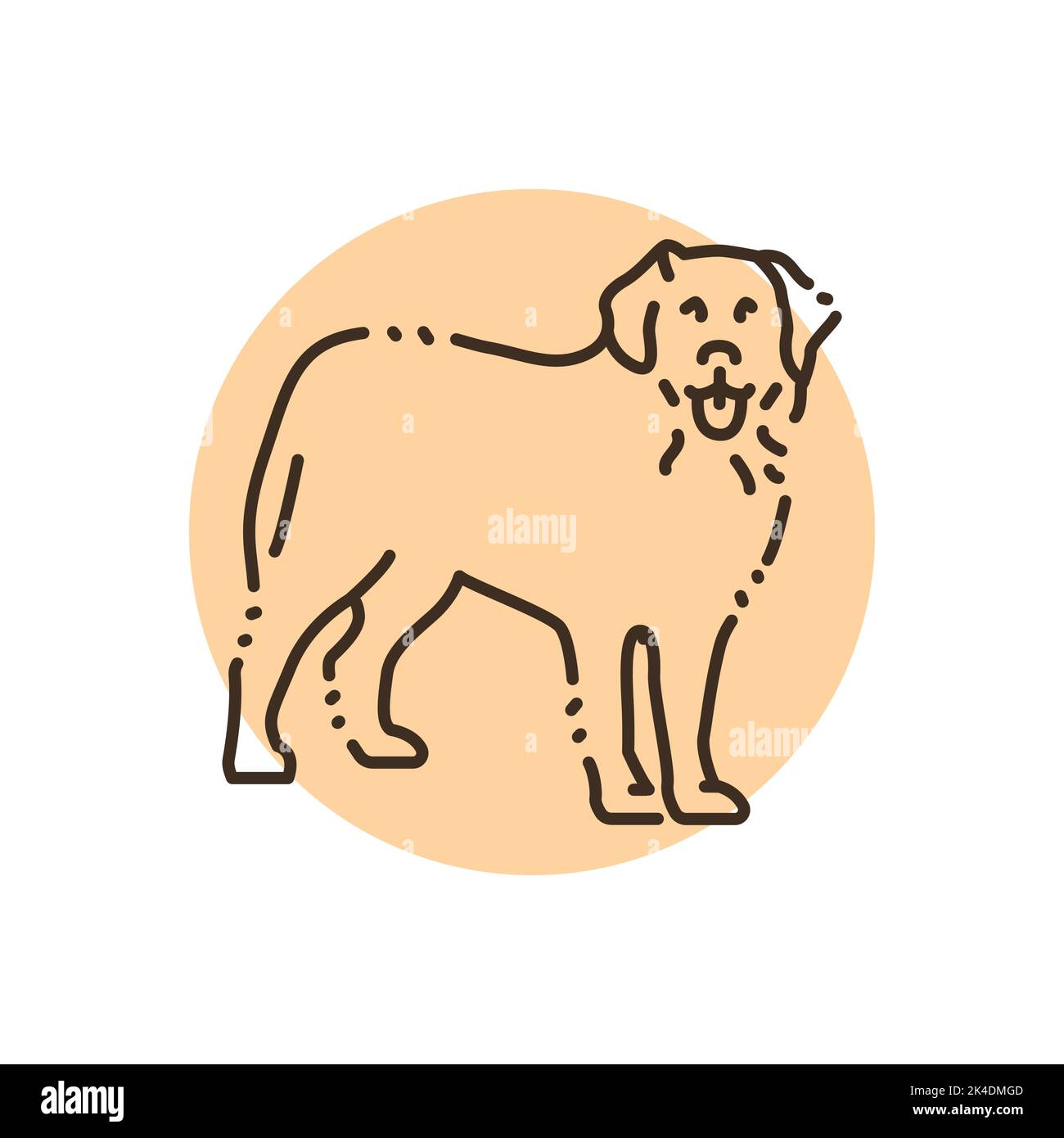 Symbol für die farbige Linie des Berner Sennenhundes. Hunderasse. Piktogramm für Webseite, mobile App, Promo. Stock Vektor