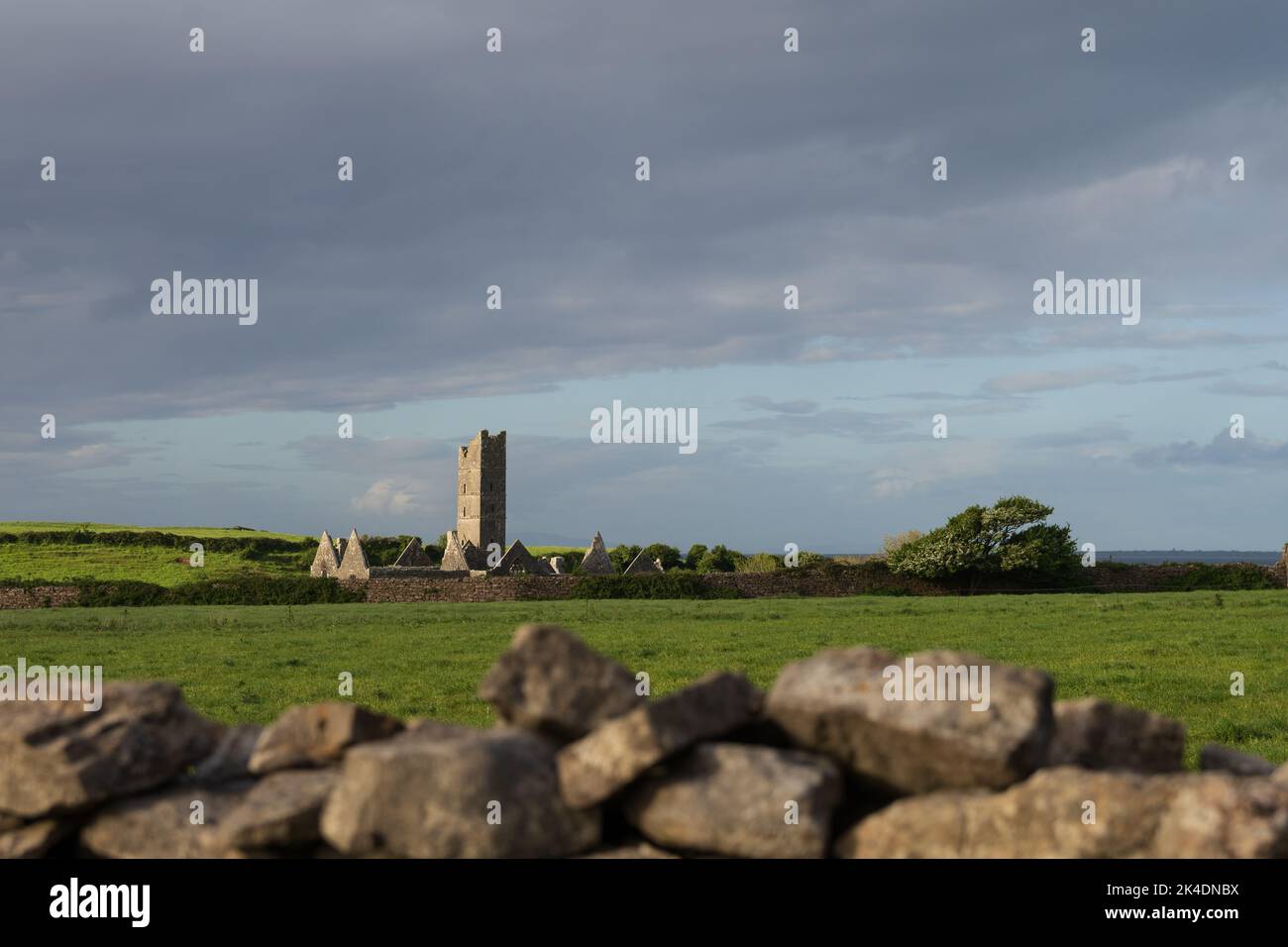 Ruinen der alten irischen Abtei auf einem grünen Feld bei Sonnenuntergang im Frühjahr Stockfoto