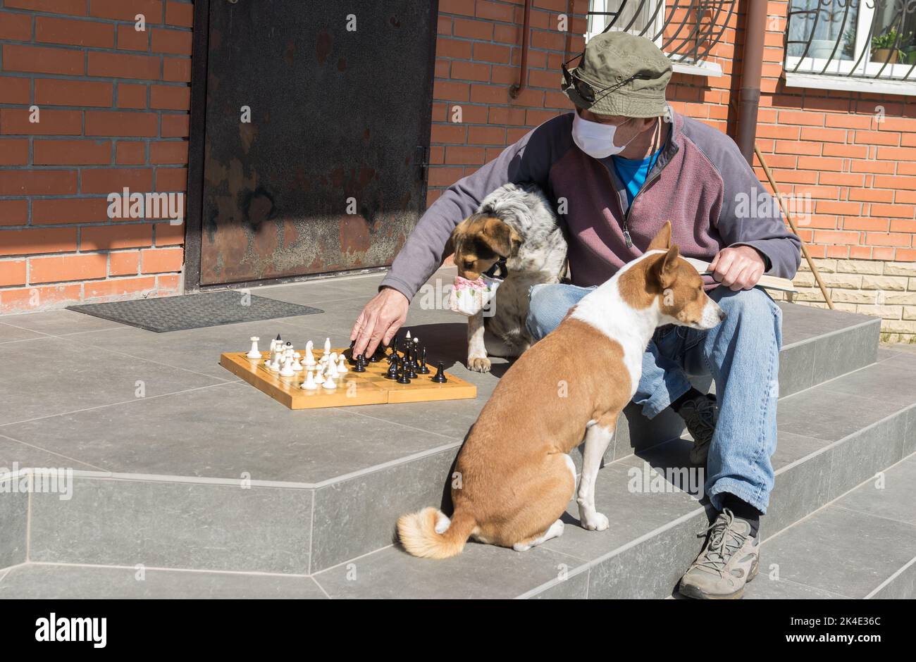 Aukasianischer älterer Mann mit Schachspiel mit zwei Hunden, die auf der Schwelle in der Nähe seines Hauses in der Ukraine sitzen Stockfoto