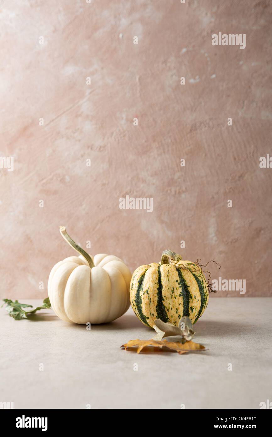Symbol Herbst Kürbis auf helle Oberfläche Nahrung und Urlaub Hintergrund kopieren Raum Stockfoto