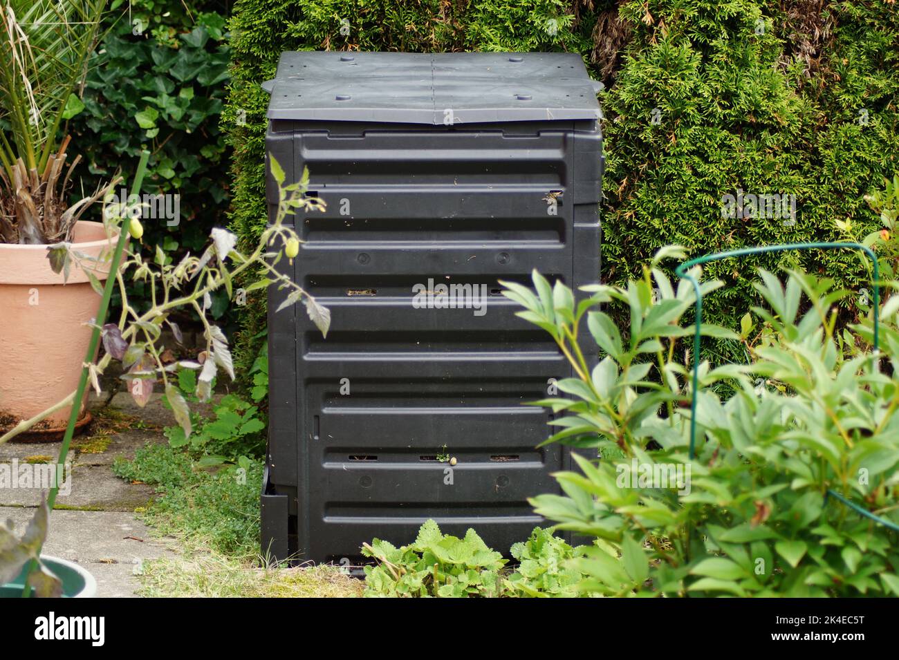 Schwarzer Thermoskomposter im Garten Stockfoto