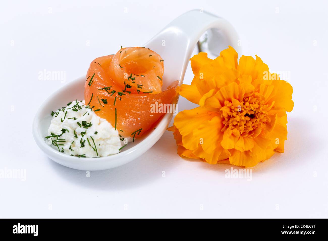 Köstliche herzhafte Vorspeisen auf neutralem Hintergrund, Fingerfood auf weißem Hintergrund Stockfoto