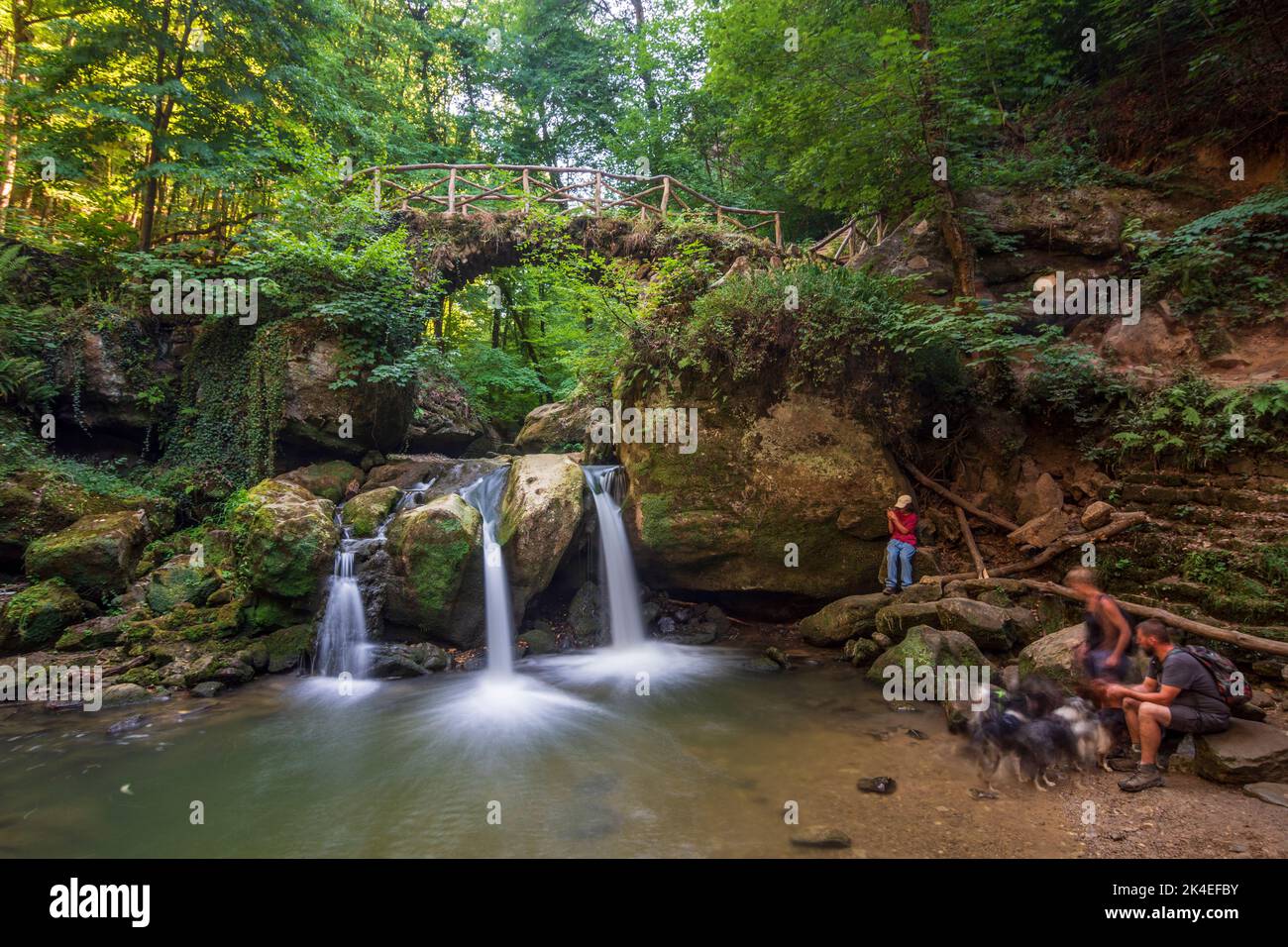 Waldbillig: Wasserfall Schéissendëmpel (Schiessentümpel) im Tal Mullerthal (Mëllerdall, Müllerthal), kleine Schweiz (Petite Suisse Luxembourgeoi Stockfoto