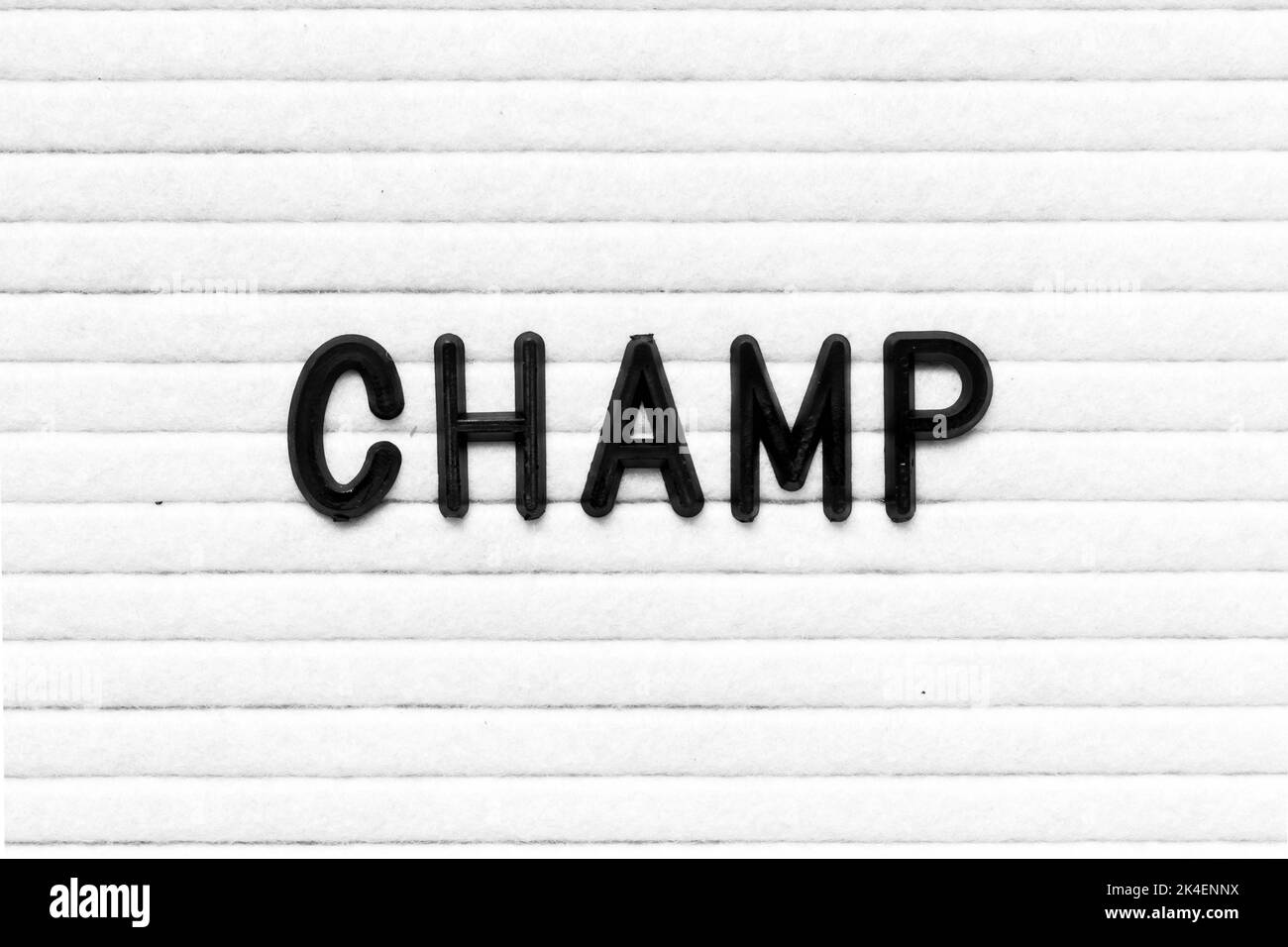 Schwarzer Buchstabe im Wortchamp auf weißem Filzbrett Hintergrund Stockfoto