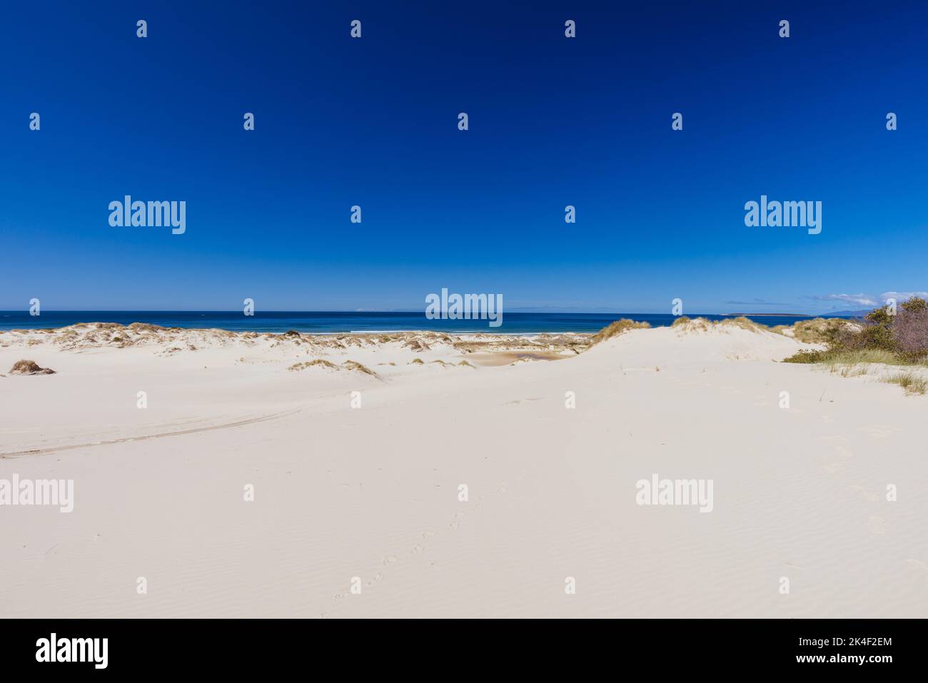 Peron Dunes in Akaroa, Tasmanien, Australien Stockfoto