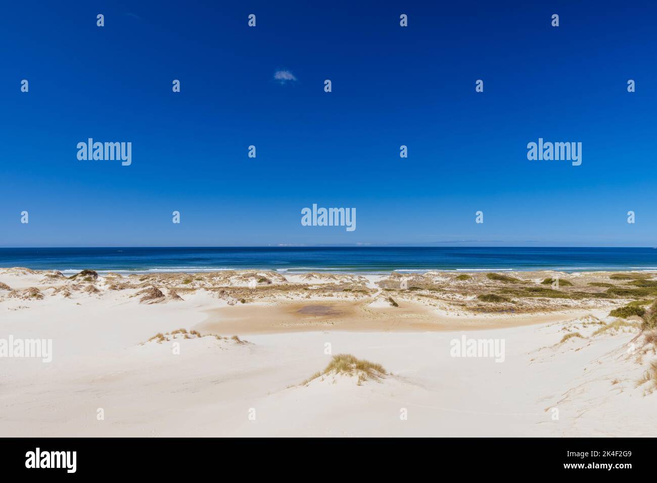 Peron Dunes in Akaroa, Tasmanien, Australien Stockfoto