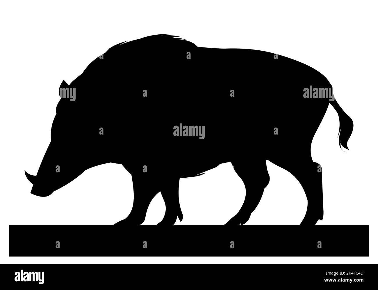 Wildschwein mit Reißzähne. Tier in natürlichem Lebensraum. Abbildung: Wildschwein. Isoliert auf weißem Hintergrund. Vektor Stock Vektor