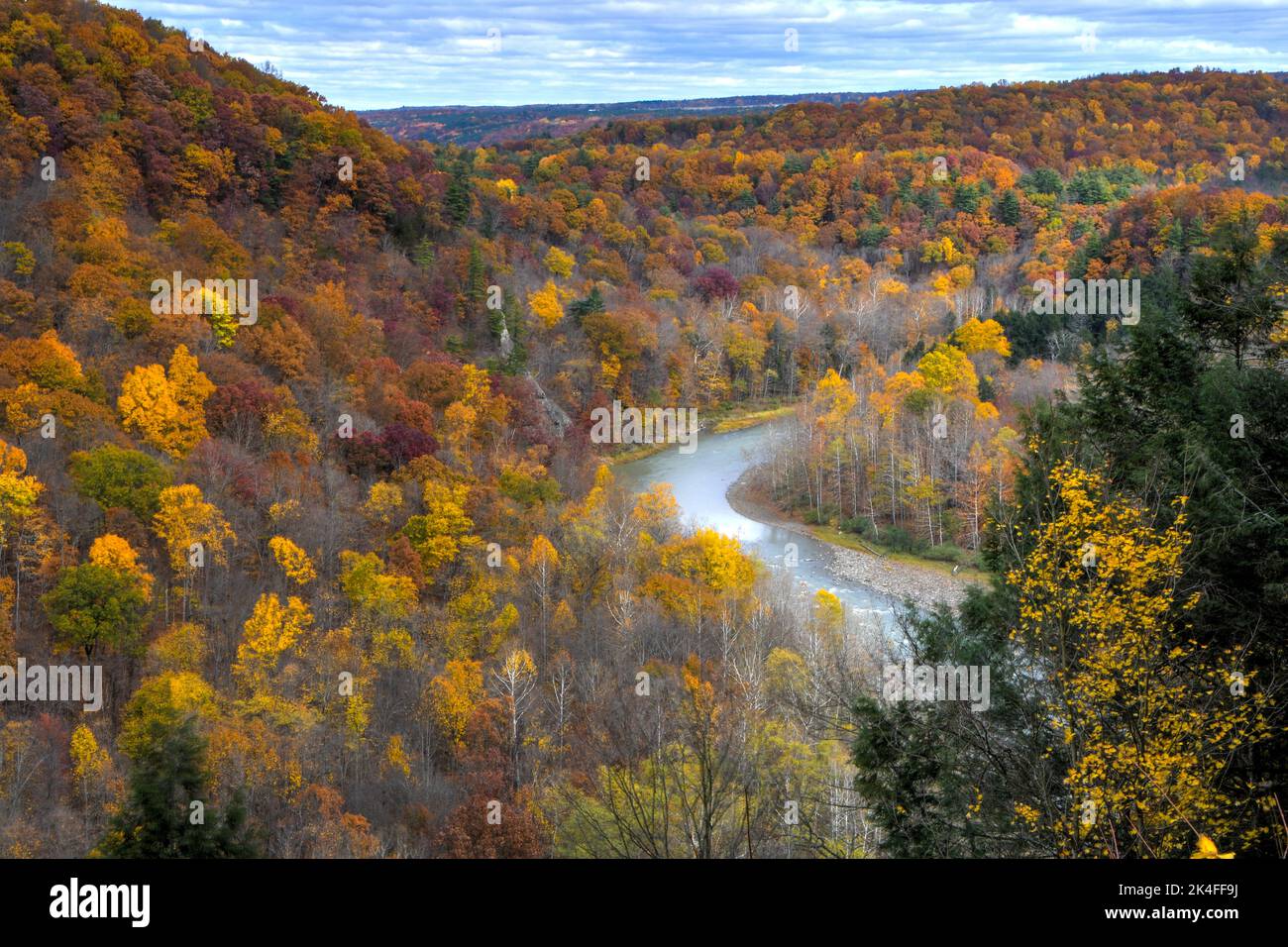 Herbstlaub im Letchworth State Park Stockfoto