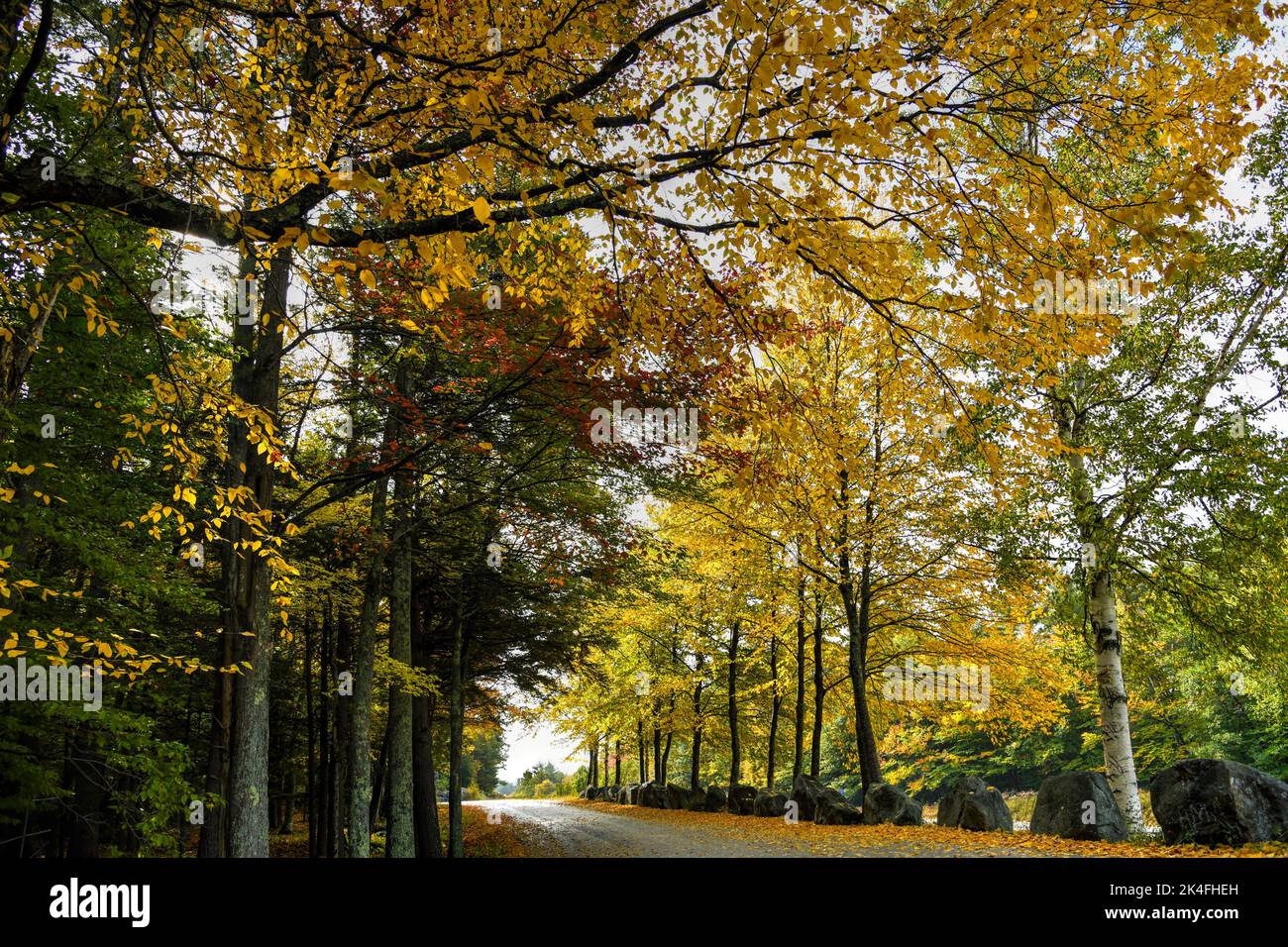 Herbstlaub in Neuengland Stockfoto