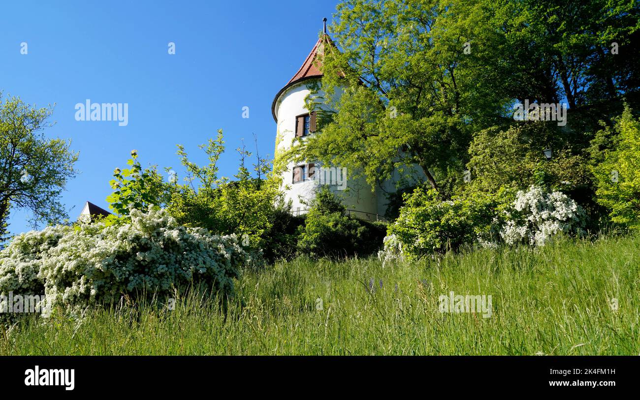 Die malerische bayerische Stadt Neuburg an der Donau (oder Neuburg an der Donau) an einem sonnigen Tag im Mai (Bayern, Deutschland) Stockfoto