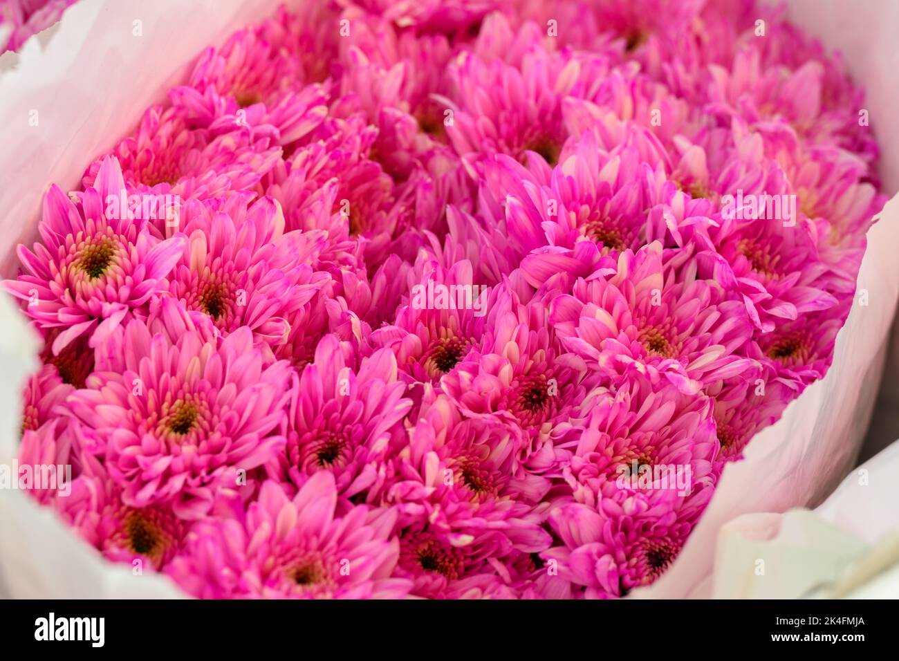 Rosa Blumenstrauß Stockfoto