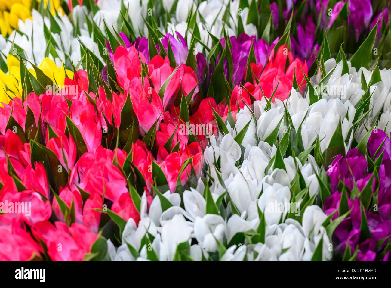 Bouquet von Oloful Blumen Stockfoto