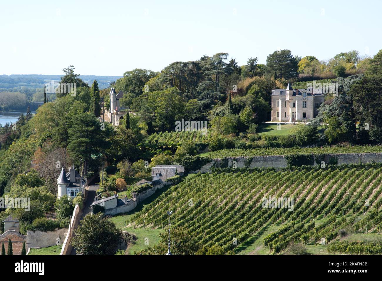 Clos de L’Hospice Vinyard, Chinon Stockfoto