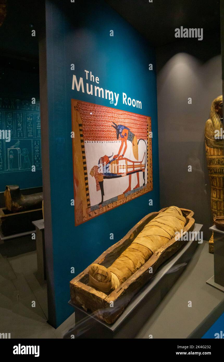 Liverpool World Museum Ägyptische Ausstellung Stockfoto