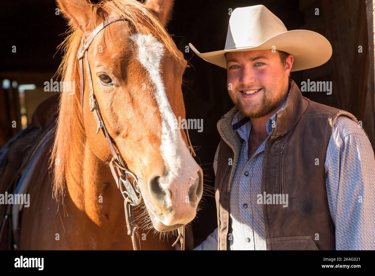 Cowboy in der Nähe von Pferden Kopf, auf Ranch, British Colombia, Kanada, Nordamerika Stockfoto