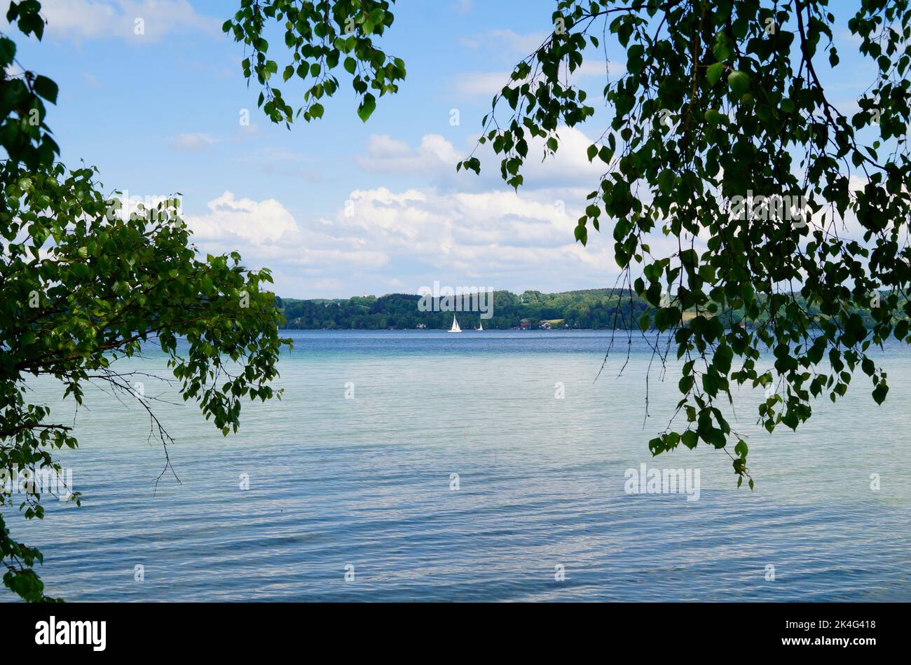 Ein schöner Blick auf die üppig grünen Bäume am Starnberger See oder Starnberger See in Bernried an einem sonnigen Tag im Mai, Bayern, Deutschland Stockfoto