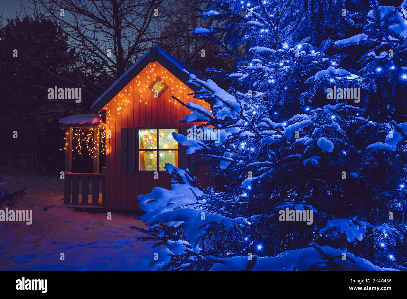 Niedliches Holzspielhaus im Hausgarten, dekoriert mit Weihnachts-LED-String-Leuchten im Freien in kalter Windernacht. Geschmückte Weihnachtstanne mit Blau. Stockfoto