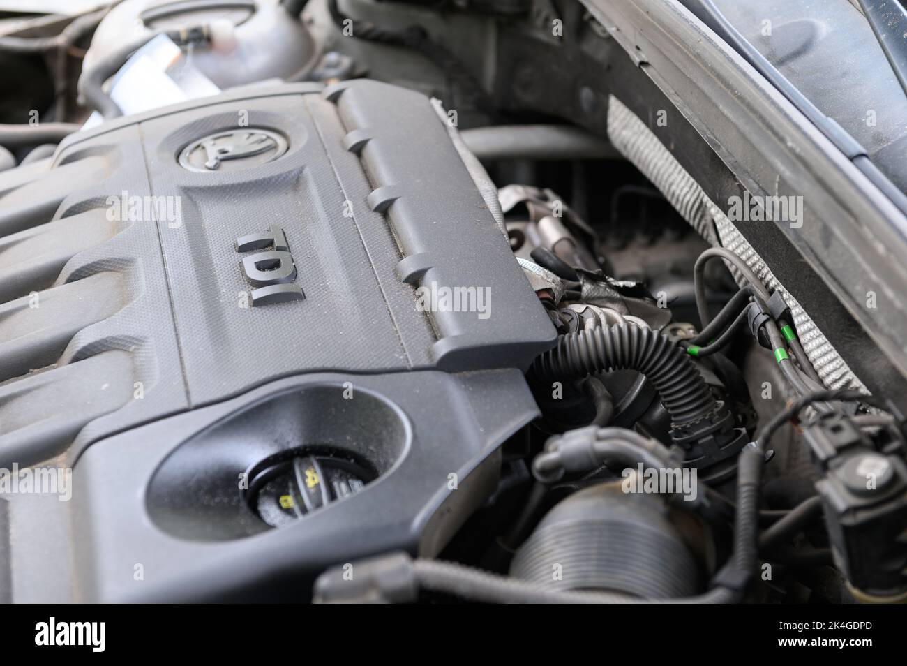 Hamburg, Deutschland. 07.. Mai 2022. Ein Dieselmotor VW EA288 im Motorraum eines Skoda Octavia RS-Kombi. Quelle: Jonas Walzberg/dpa/Alamy Live News Stockfoto