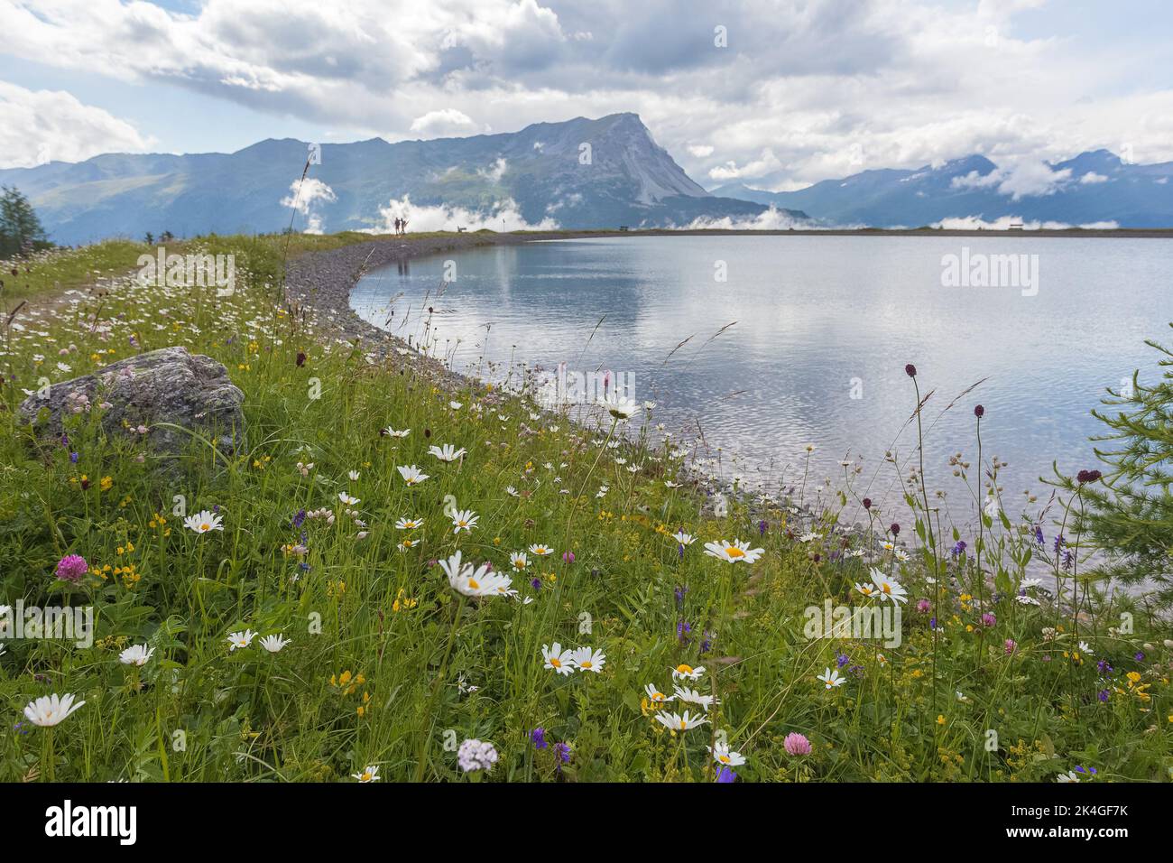 Kleines alpines Seeufer mit blühender Wiese und Gipfeln der schweizerisch-italienischen Grenze Stockfoto