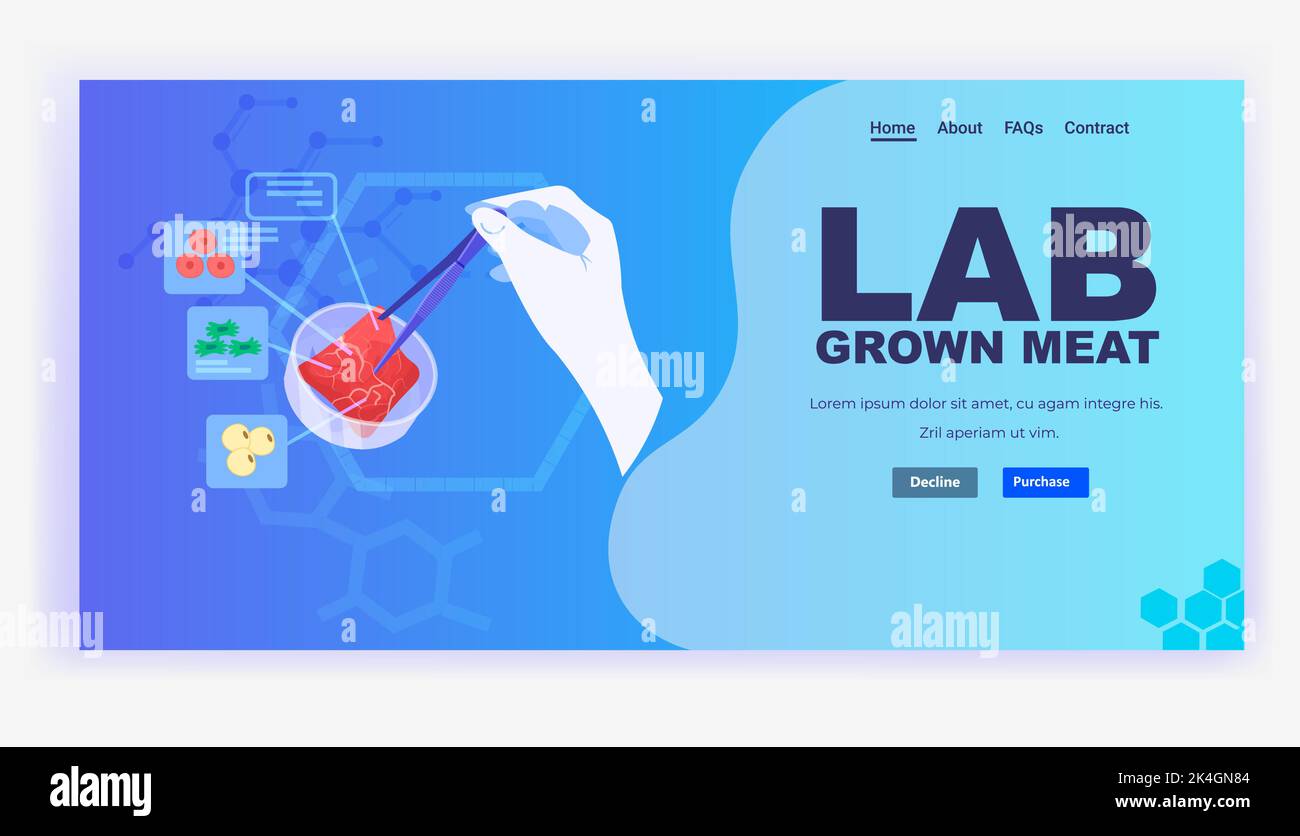 Wissenschaftler Hände Analyse dna von kultiviertem rotem rohem Fleisch aus tierischen Zellen künstliche Labor gezüchtet Fleischproduktion Stock Vektor