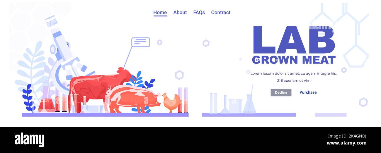 Kultiviertes rotes rohes Fleisch aus verschiedenen Tierzellen künstliches Labor gezüchtetem Fleisch Produktionskonzept Stock Vektor