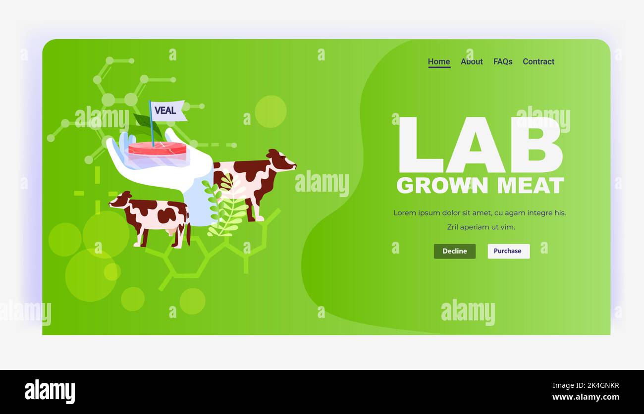 Wissenschaftler Hand hält kultivierten roten rohen Kalb aus tierischen Zellen künstlichen Labor gezüchtet Fleisch Produktionskonzept Stock Vektor