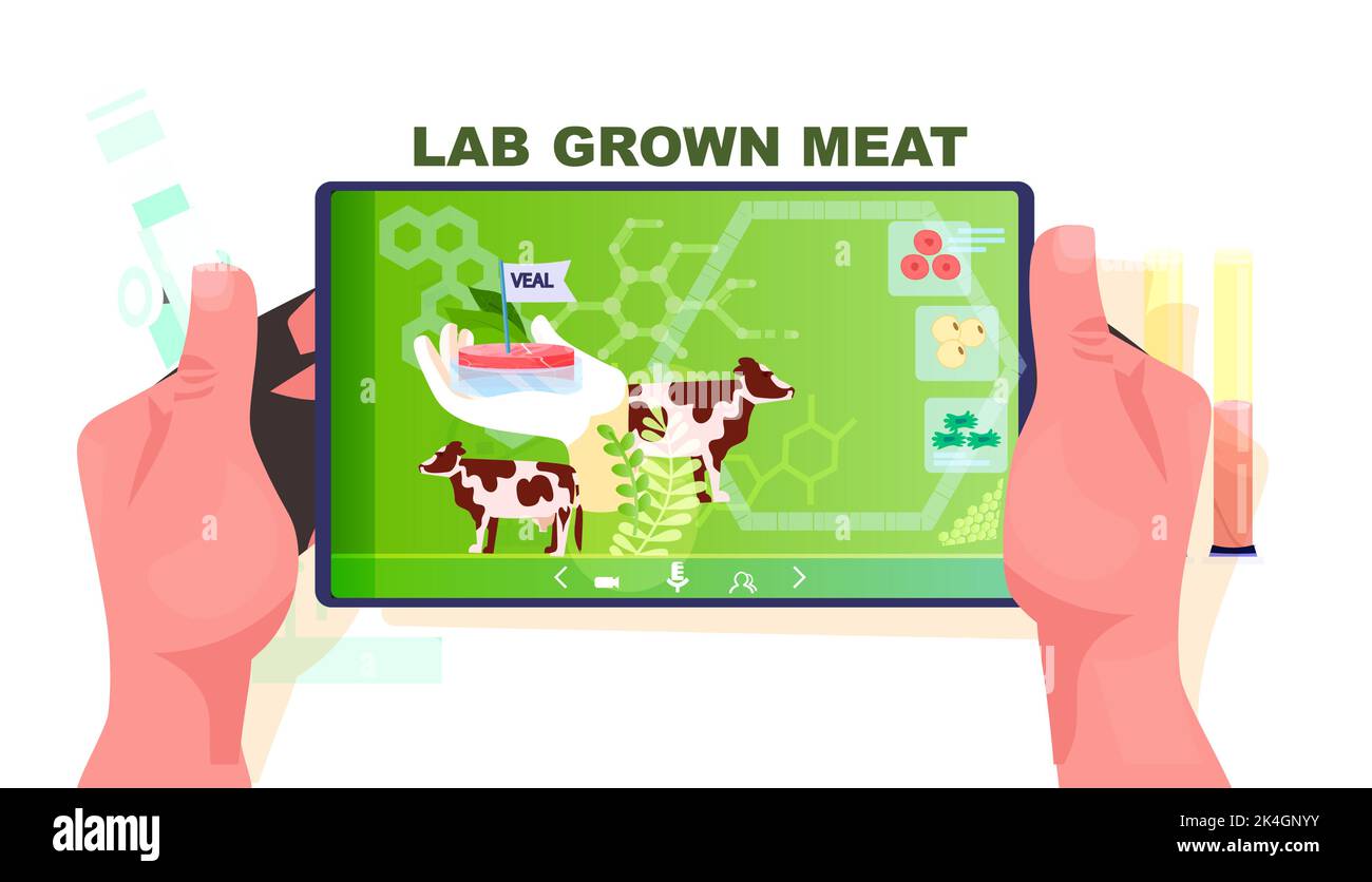 Wissenschaftler analysiert dna von kultiviertem Kalb auf Tablet-pc-Bildschirm künstliches Labor gezüchtetem Fleisch Produktionskonzept Stock Vektor