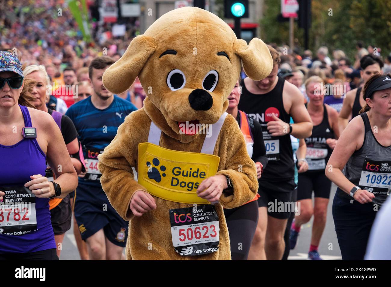 London, 2.. Oktober 2022. Mehr als 40.000 Teilnehmer gehen zum London Marathon 42. auf die Straßen der Hauptstadt. Die Veranstaltung, die Eliteläufer und Rollstuhlfahrer anzieht, bringt auch Millionen Pfund für wohltätige Zwecke durch die Teilnahme von Club- und Fitnessläufern zusammen mit denen, die nur die 26 Meilen Herausforderung annehmen wollen. Ein Läufer im Hundekostüm, der auf der Strecke des London-Marathons Mittel für die Hilfsorganisation Guide Dogs einsammeln kann. Stockfoto