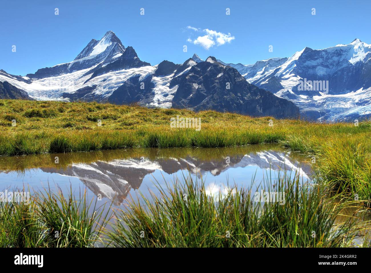 Blick auf Schreckhorn und Berner Alpen von Grindelwald-First, Schweiz in der Nähe des Bachalpsees. Stockfoto