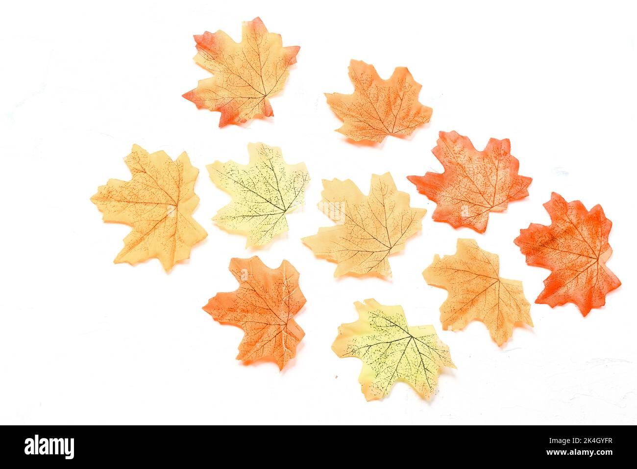 Herbstkomposition. Getrocknete Blätter auf weißem Hintergrund. Herbst, Herbst, Danksagetag Konzept. Flach liegend, Draufsicht, Kopierbereich Stockfoto