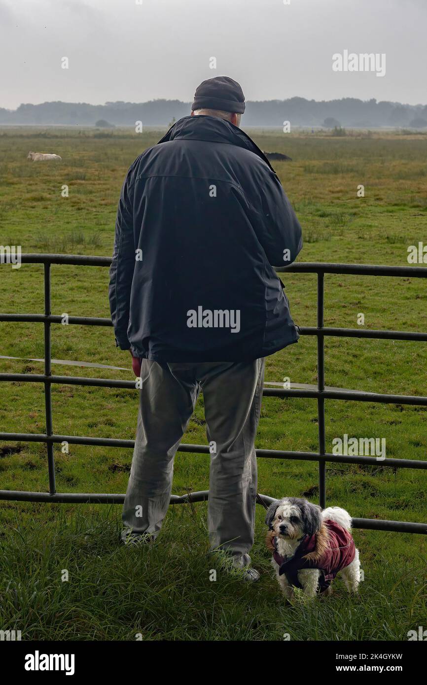 Rückseite eines Mannes, der von seinem Hund begleitet wird Stockfoto