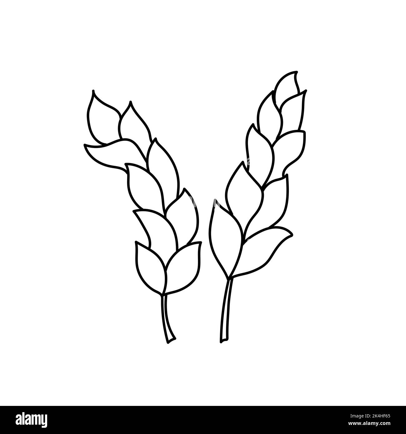 Zwei Ähren von Weizen-Symbol in Umriss Cartoon-Stil auf weiß. Schwarz-Weiß einfache handgezeichnete Zeichnung Stock Vektor