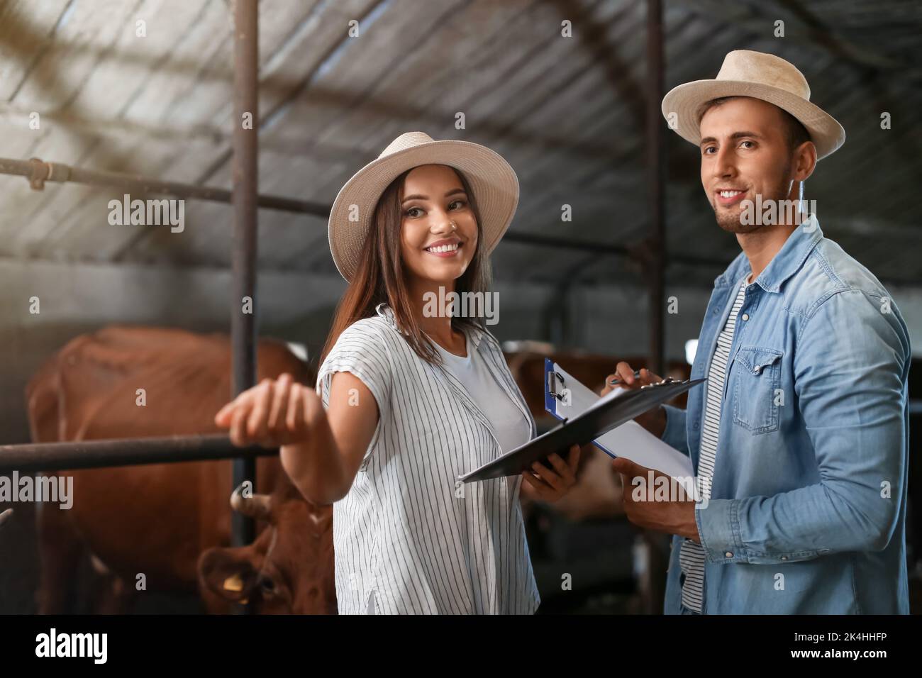 Junge Bauern, die in Kuhstall arbeiten Stockfoto