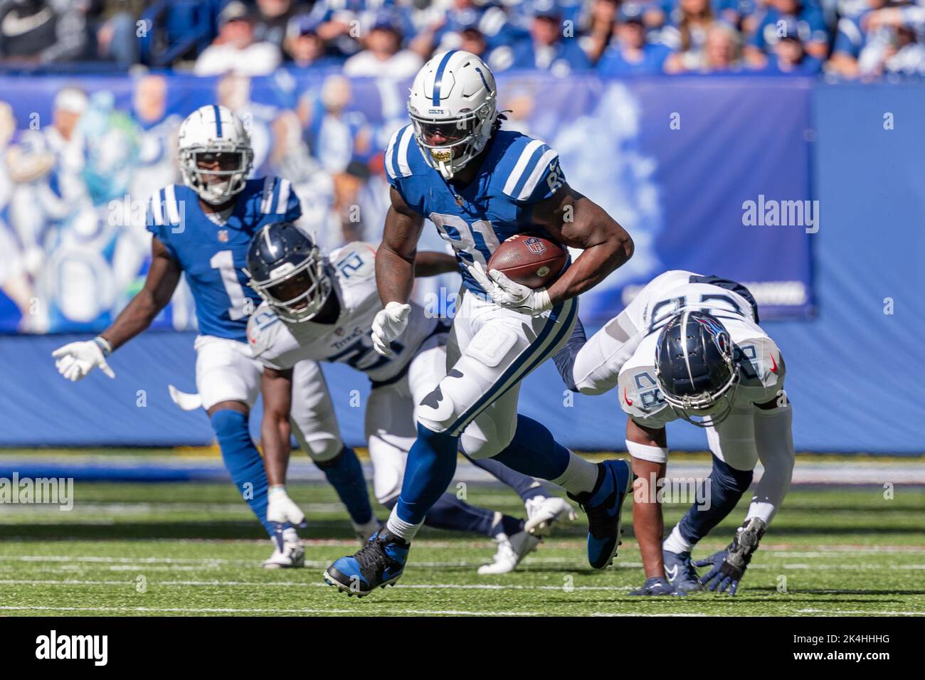 Indianapolis, Indiana, USA. 2. Oktober 2022. Indianapolis Colts Tight End Mo Alie-Cox (81) läuft nach einem Pass während des Spiels zwischen den Tennessee Titans und den Indianapolis Colts im Lucas Oil Stadium, Indianapolis, Indiana. (Bild: © Scott Stuart/ZUMA Press Wire) Stockfoto