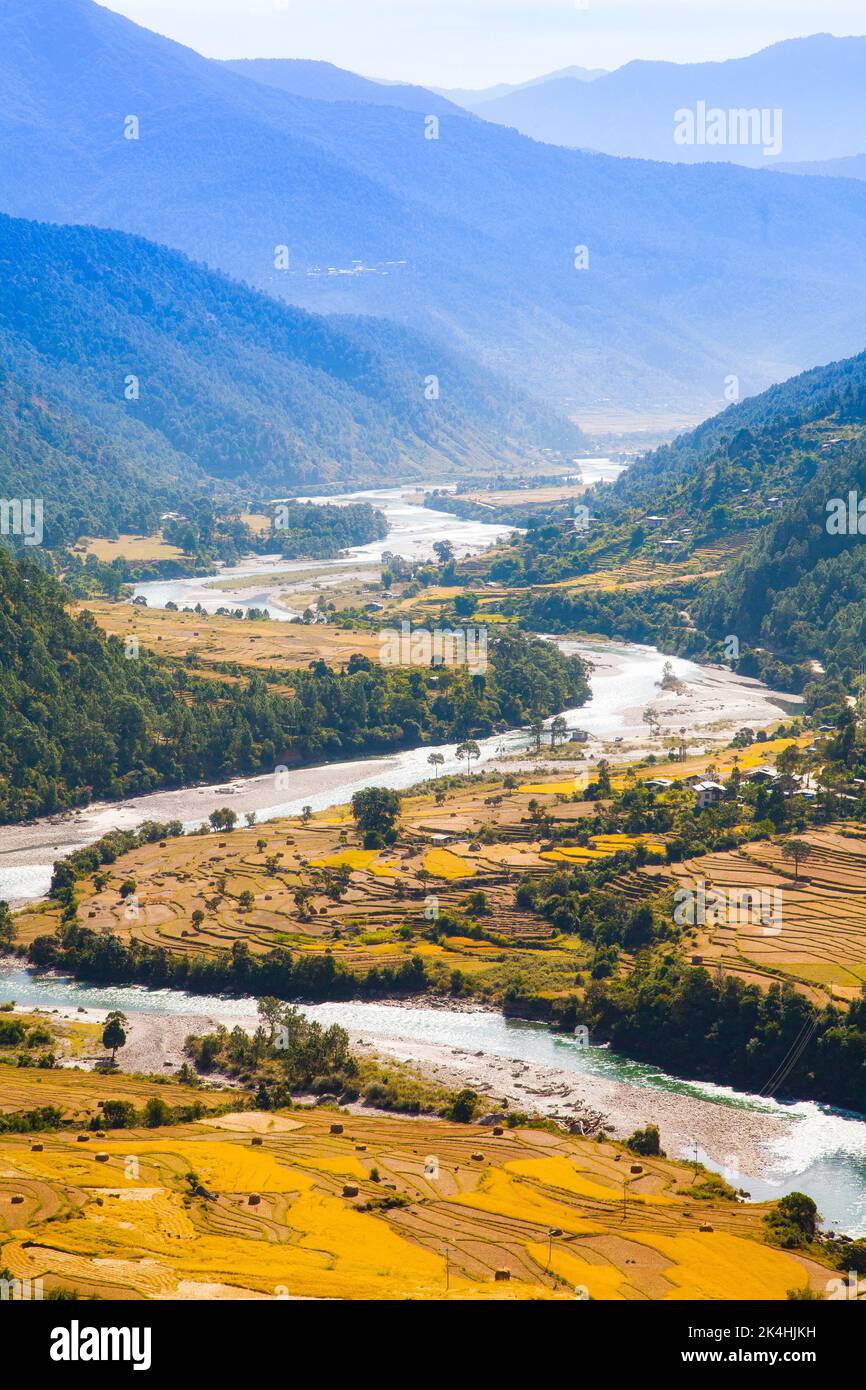 Der Mo Chu Fluss fließt durch das landwirtschaftliche Punakha Tal in Bhutan. Stockfoto