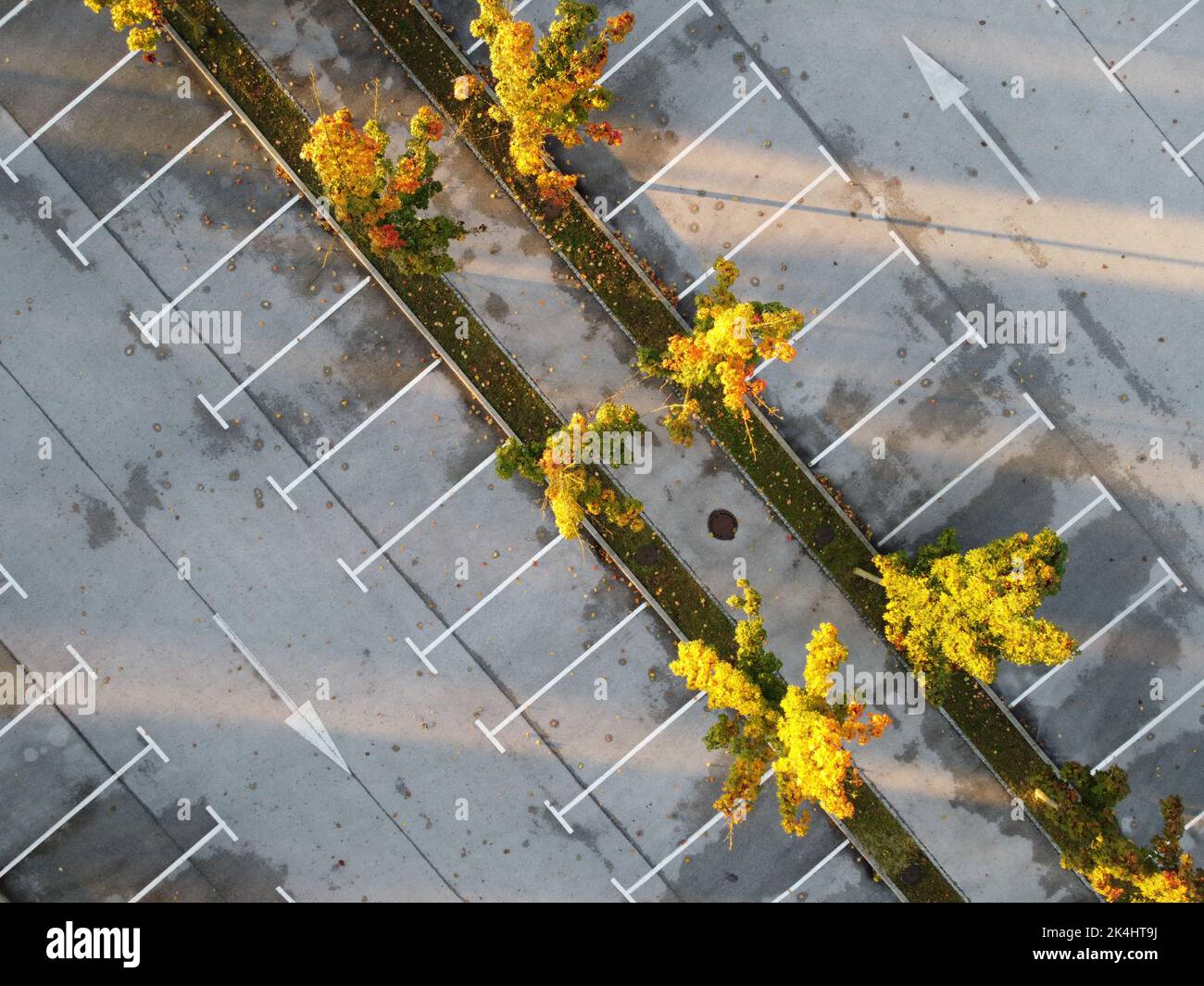 Leerer Parkplatz mit gelben Herbstbäumen Stockfoto