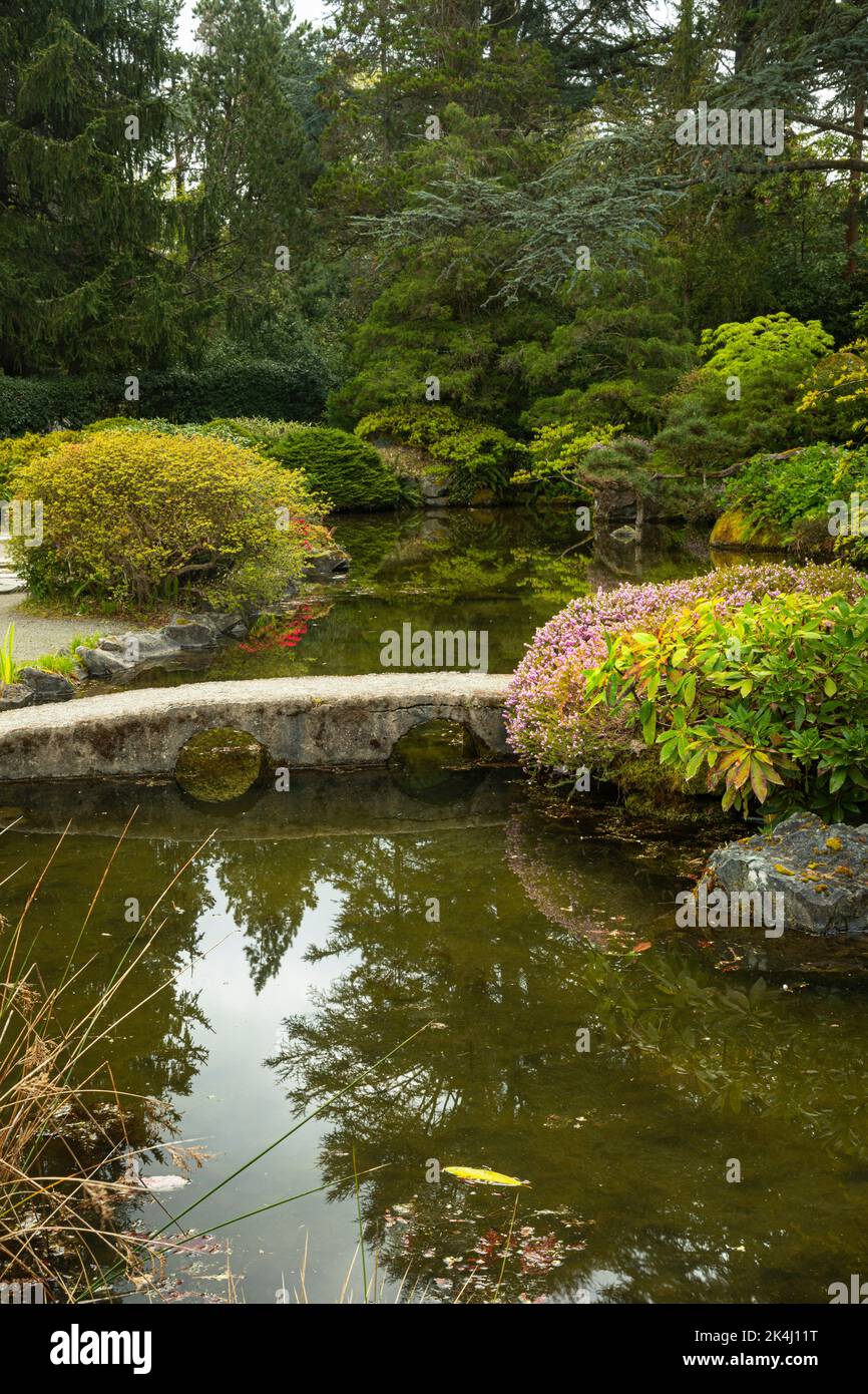 WA22137-00...WASHINGTON - kleiner Spiegelteich im Japanses Garden-Bereich des Kubota Garden; einem Stadtpark von Seattle. Stockfoto