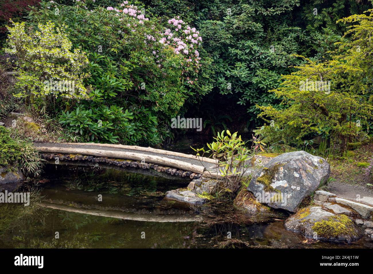 WA22137-00...WASHINGTON - kleine Brücke über den reflektierenden Teich im Japanses Garden-Bereich des Kubota Garden; einem Stadtpark von Seattle. Stockfoto