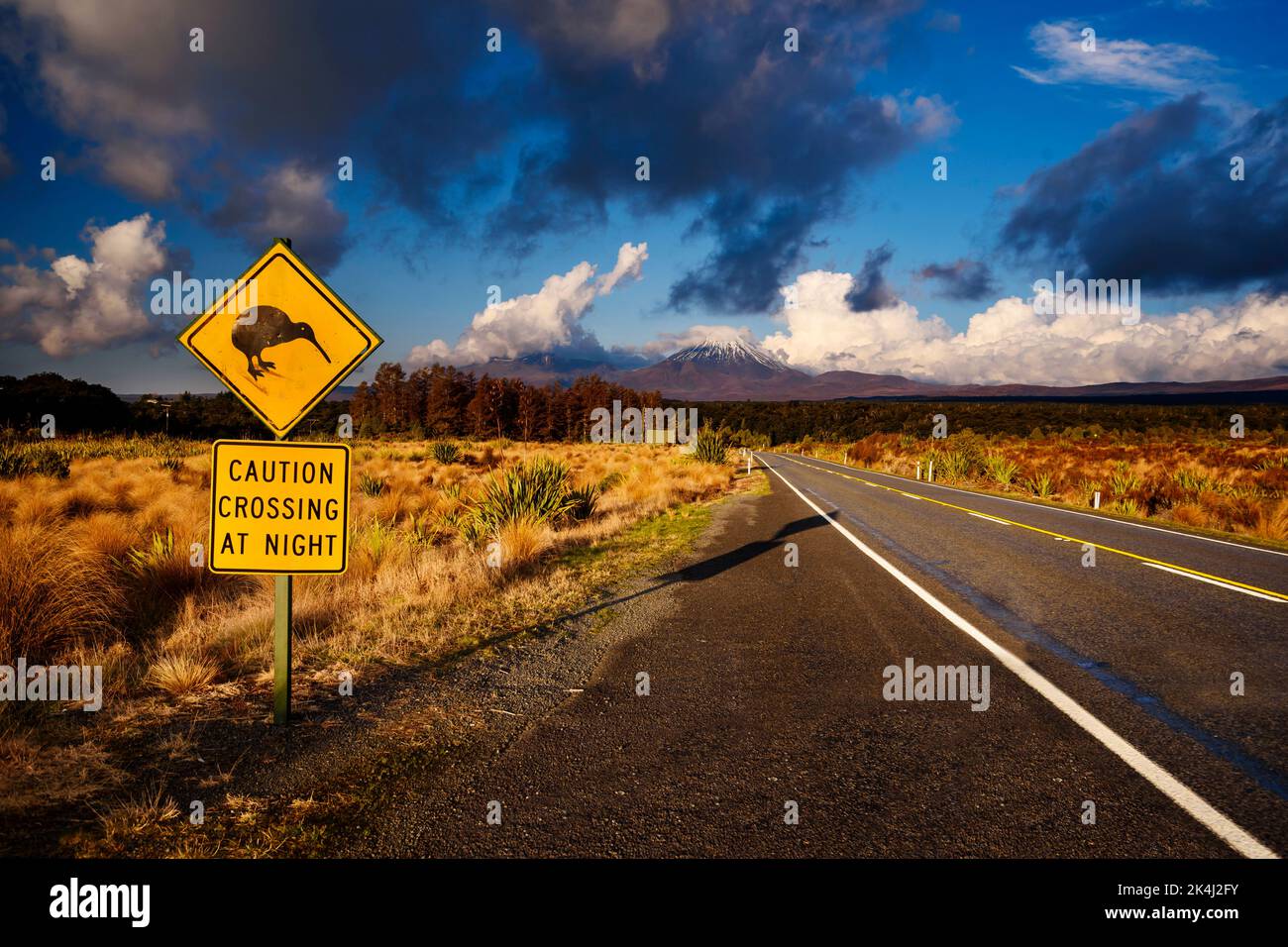 Straßenschild Kiwi Crossing im Tongariro National Park, Neuseeland Stockfoto