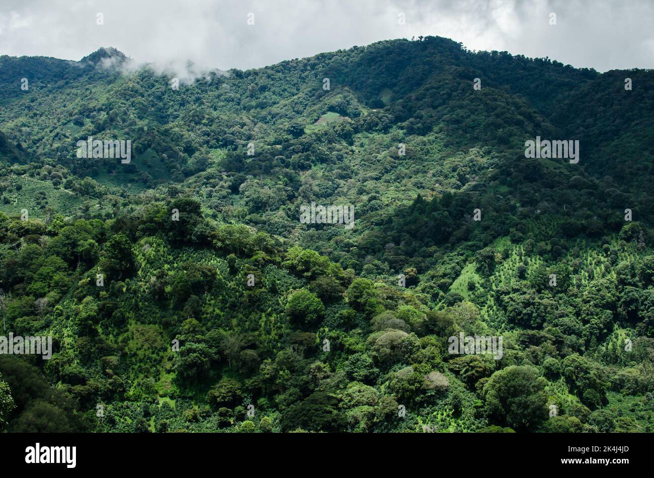 Boquete Mountains Stockfoto