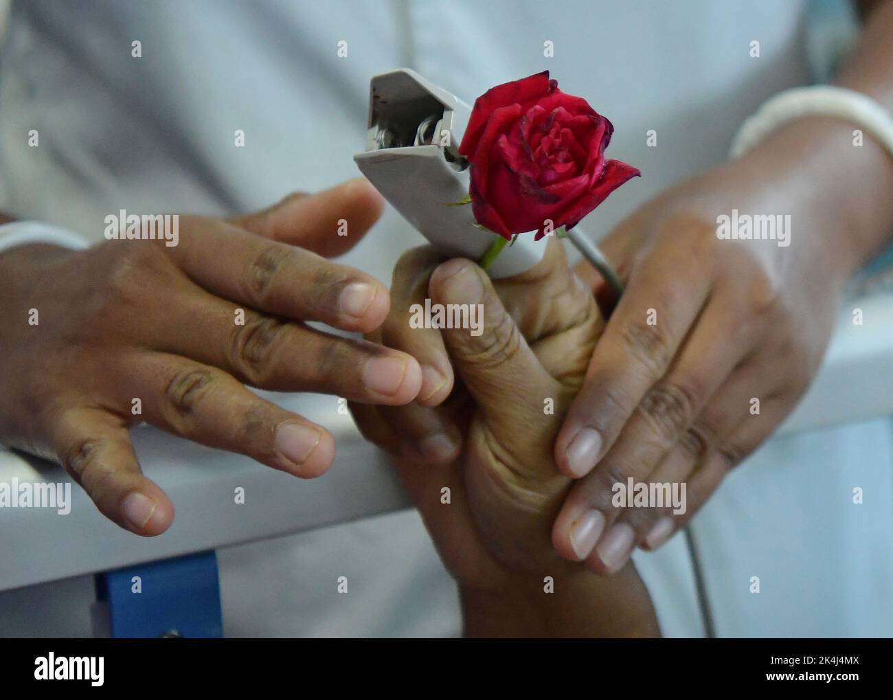 Eine Krankenschwester verteilt eine Rose an einen Krebspatienten am Welt-Rose-Tag zum wohl von Krebspatienten, der jedes Jahr am 22.. September beobachtet wird, um Menschen für Krebs zu sensibilisieren und Patienten eine helfende Hand zu reichen. Atal Bihari Vajpayee Regional Cancer Center in Agartala. Tripura, Indien. Stockfoto