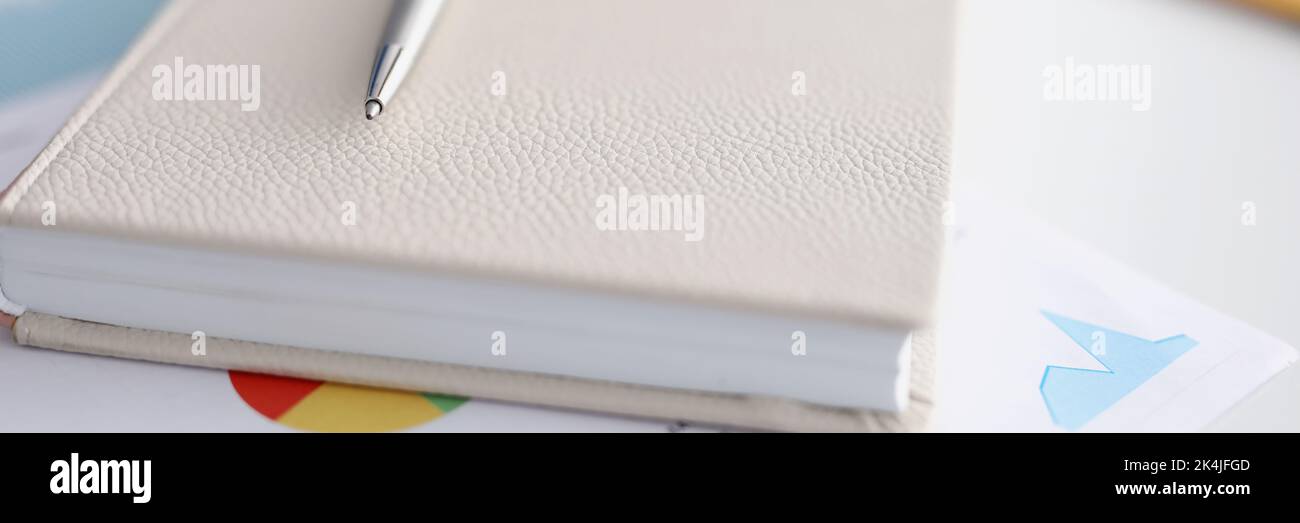 Geschlossenes beigefarbenes Ledertagebuch mit silbernem Stift, neues Notizbuch Stockfoto