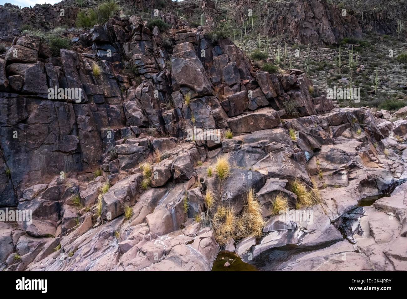 Ein Blick auf den Gold Canyon, Arizona Stockfoto