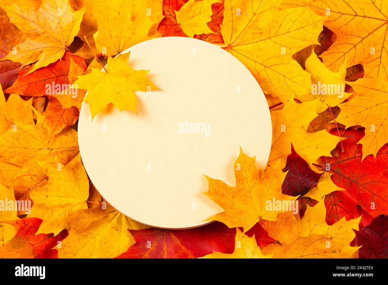 Geometrischer runder Podium-Plattformständer für kosmetische Beauty-Produktpräsentation auf rotem, orangefarbenem und gelbem Herbst-Ahorn-Herbstlaub-Hintergrund. Modell Stockfoto